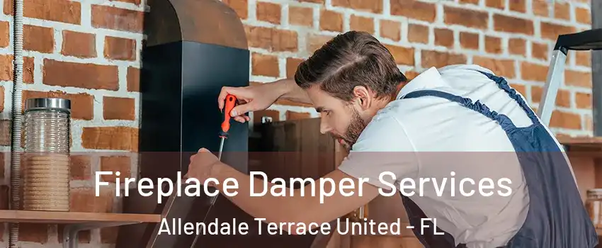 Fireplace Damper Services Allendale Terrace United - FL