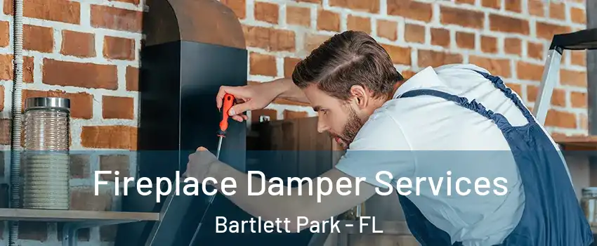 Fireplace Damper Services Bartlett Park - FL