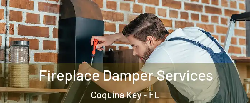 Fireplace Damper Services Coquina Key - FL