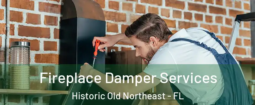 Fireplace Damper Services Historic Old Northeast - FL