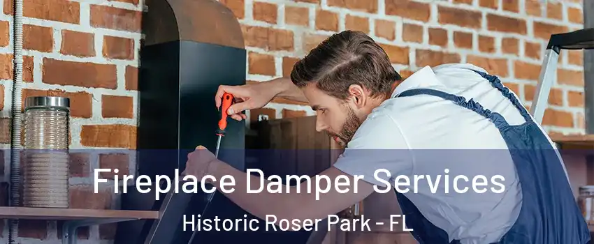 Fireplace Damper Services Historic Roser Park - FL