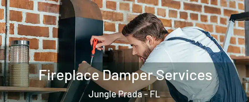 Fireplace Damper Services Jungle Prada - FL