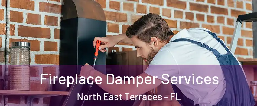 Fireplace Damper Services North East Terraces - FL