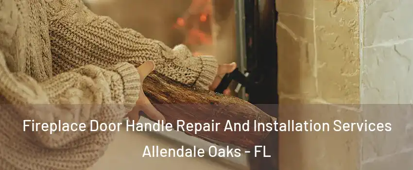 Fireplace Door Handle Repair And Installation Services Allendale Oaks - FL