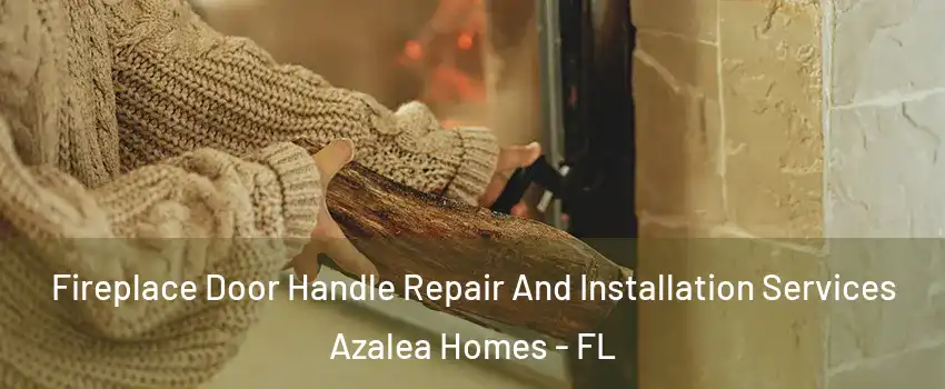 Fireplace Door Handle Repair And Installation Services Azalea Homes - FL
