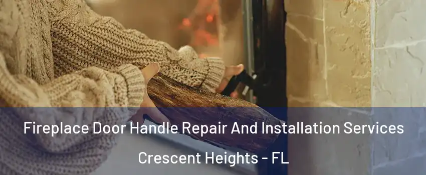 Fireplace Door Handle Repair And Installation Services Crescent Heights - FL