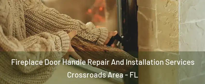 Fireplace Door Handle Repair And Installation Services Crossroads Area - FL