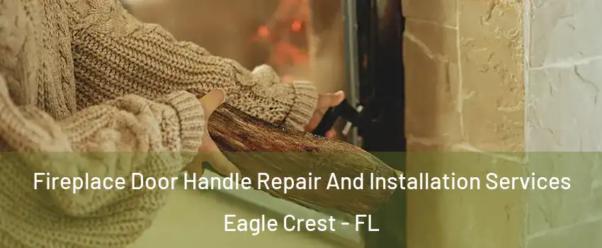 Fireplace Door Handle Repair And Installation Services Eagle Crest - FL