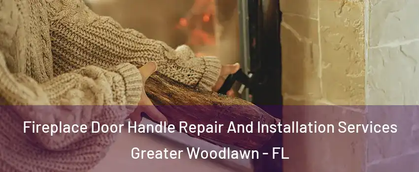 Fireplace Door Handle Repair And Installation Services Greater Woodlawn - FL