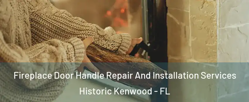 Fireplace Door Handle Repair And Installation Services Historic Kenwood - FL