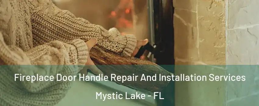 Fireplace Door Handle Repair And Installation Services Mystic Lake - FL