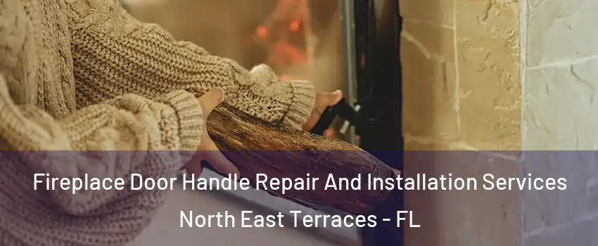 Fireplace Door Handle Repair And Installation Services North East Terraces - FL