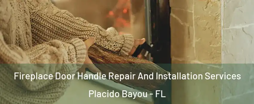 Fireplace Door Handle Repair And Installation Services Placido Bayou - FL