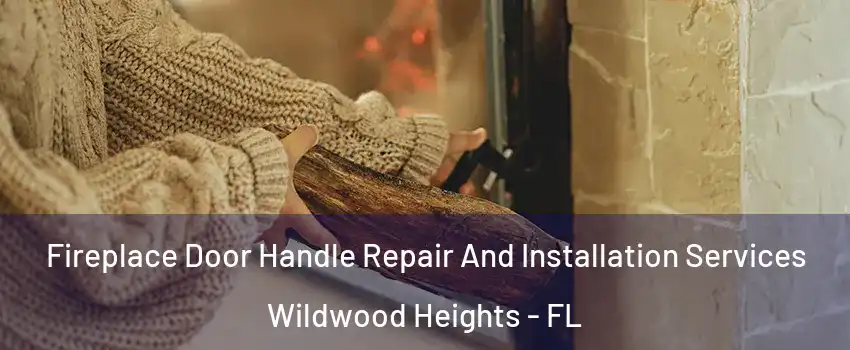 Fireplace Door Handle Repair And Installation Services Wildwood Heights - FL