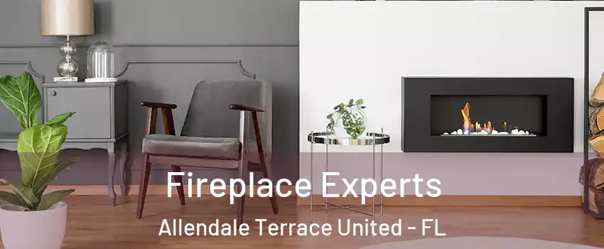 Fireplace Experts Allendale Terrace United - FL