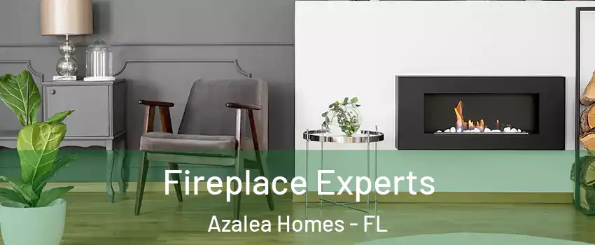 Fireplace Experts Azalea Homes - FL