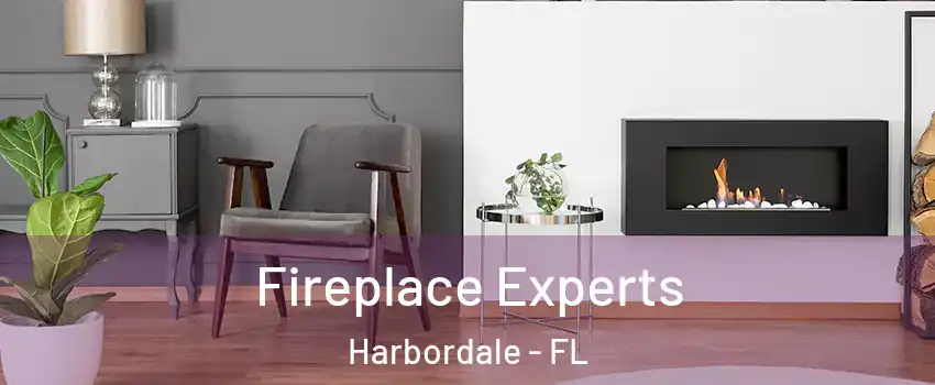 Fireplace Experts Harbordale - FL