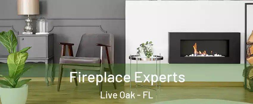 Fireplace Experts Live Oak - FL