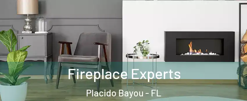 Fireplace Experts Placido Bayou - FL