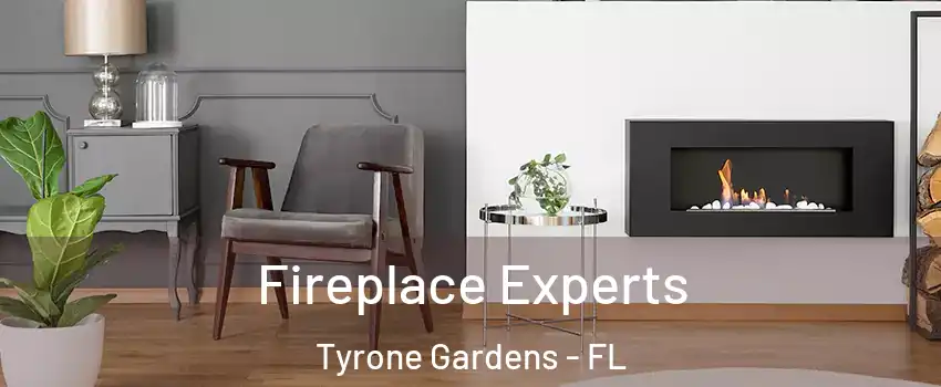 Fireplace Experts Tyrone Gardens - FL