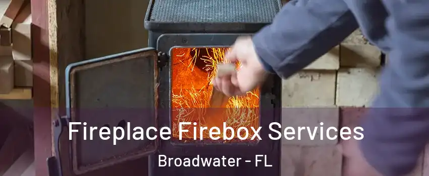 Fireplace Firebox Services Broadwater - FL