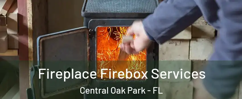 Fireplace Firebox Services Central Oak Park - FL