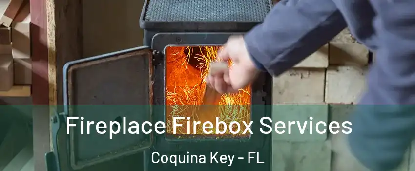 Fireplace Firebox Services Coquina Key - FL