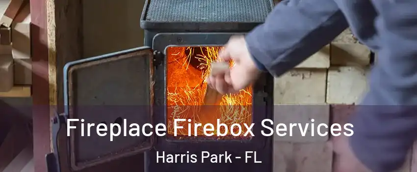 Fireplace Firebox Services Harris Park - FL