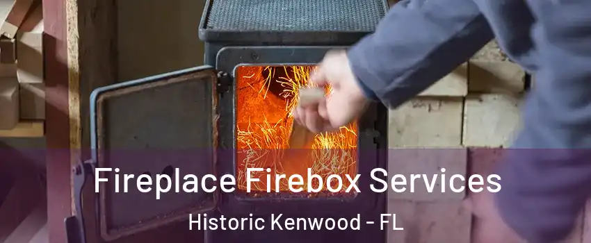 Fireplace Firebox Services Historic Kenwood - FL