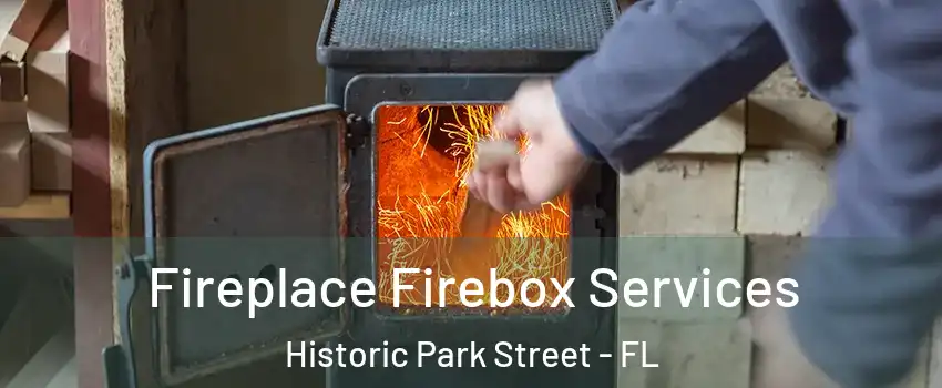 Fireplace Firebox Services Historic Park Street - FL