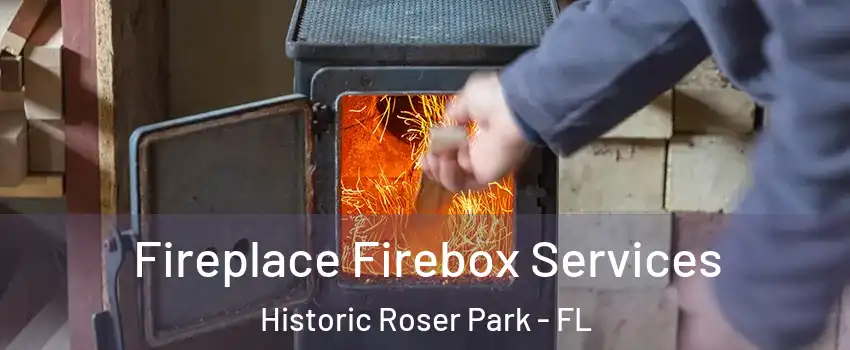 Fireplace Firebox Services Historic Roser Park - FL