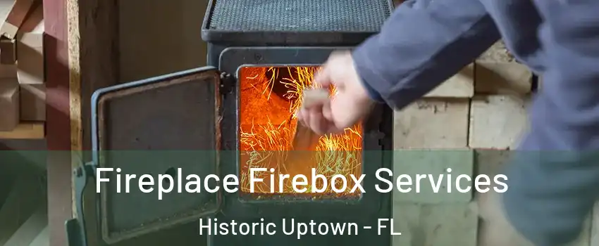 Fireplace Firebox Services Historic Uptown - FL