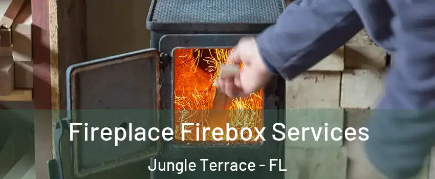 Fireplace Firebox Services Jungle Terrace - FL