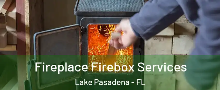 Fireplace Firebox Services Lake Pasadena - FL