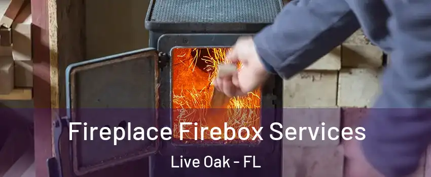 Fireplace Firebox Services Live Oak - FL