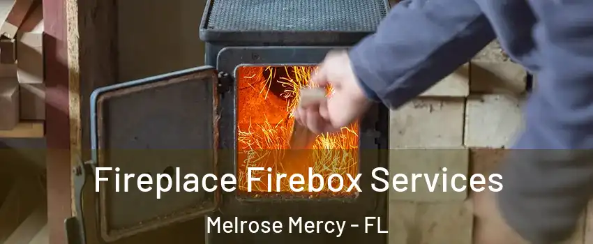 Fireplace Firebox Services Melrose Mercy - FL