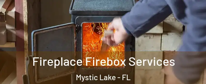 Fireplace Firebox Services Mystic Lake - FL