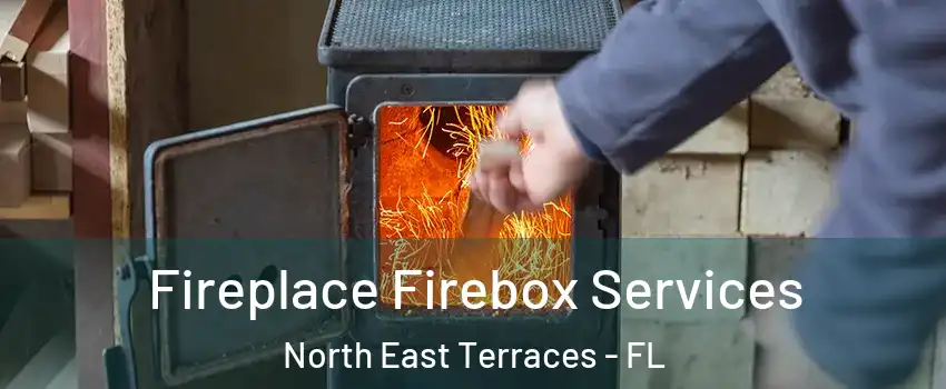 Fireplace Firebox Services North East Terraces - FL