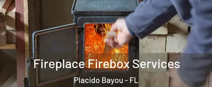 Fireplace Firebox Services Placido Bayou - FL