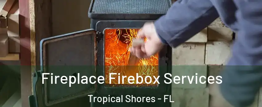 Fireplace Firebox Services Tropical Shores - FL