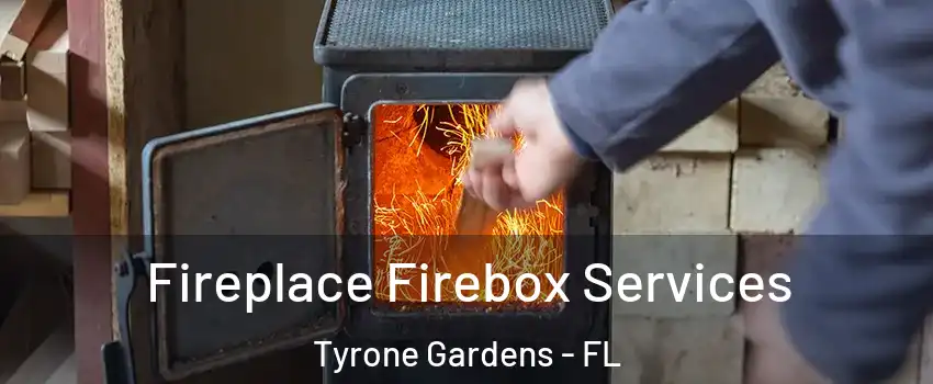 Fireplace Firebox Services Tyrone Gardens - FL
