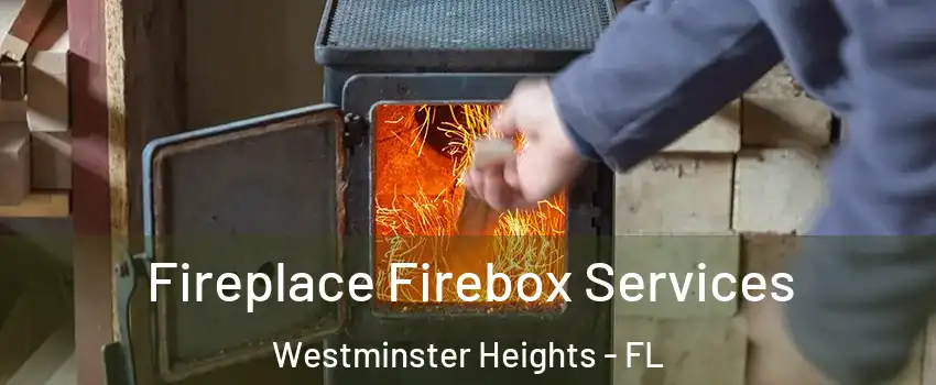 Fireplace Firebox Services Westminster Heights - FL