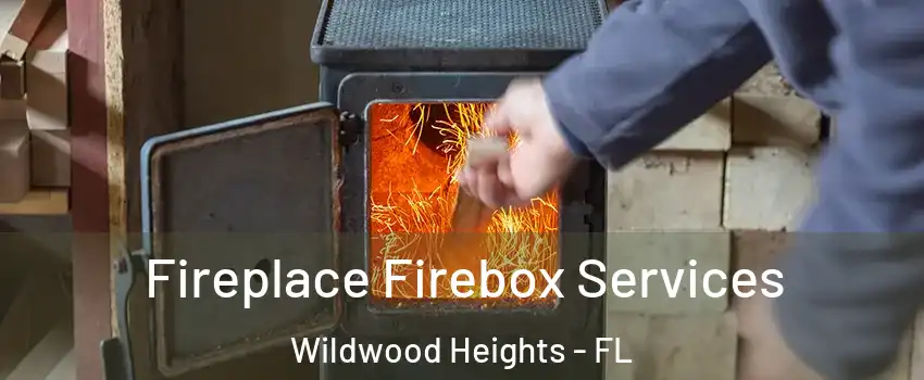 Fireplace Firebox Services Wildwood Heights - FL