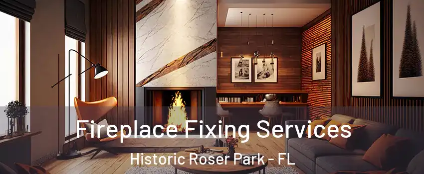 Fireplace Fixing Services Historic Roser Park - FL