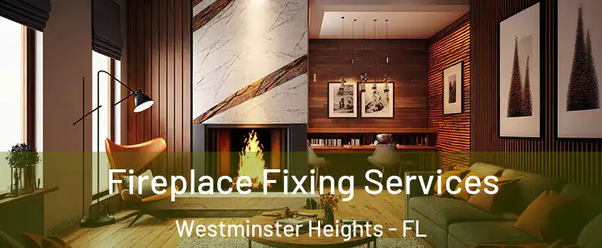 Fireplace Fixing Services Westminster Heights - FL