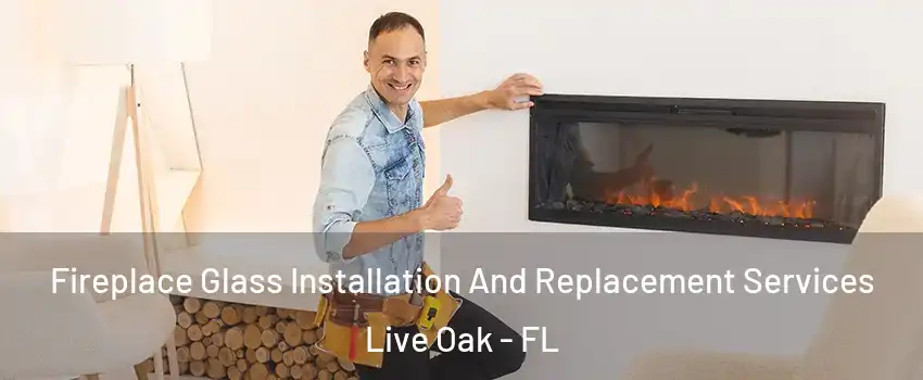 Fireplace Glass Installation And Replacement Services Live Oak - FL
