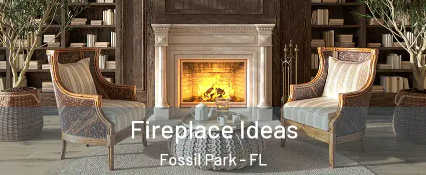Fireplace Ideas Fossil Park - FL