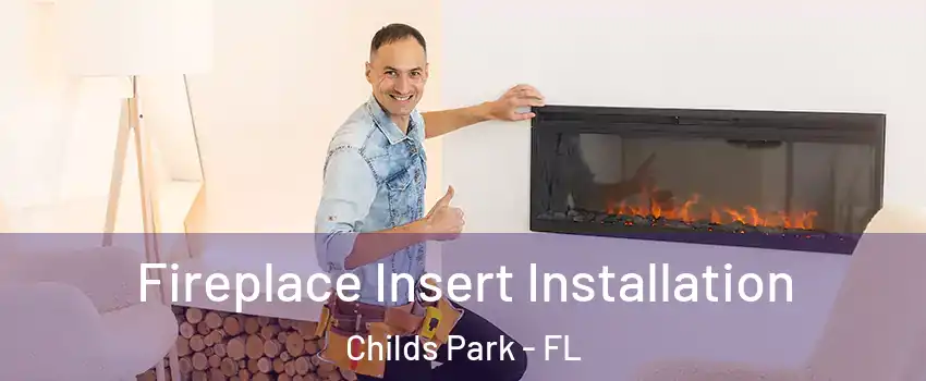 Fireplace Insert Installation Childs Park - FL