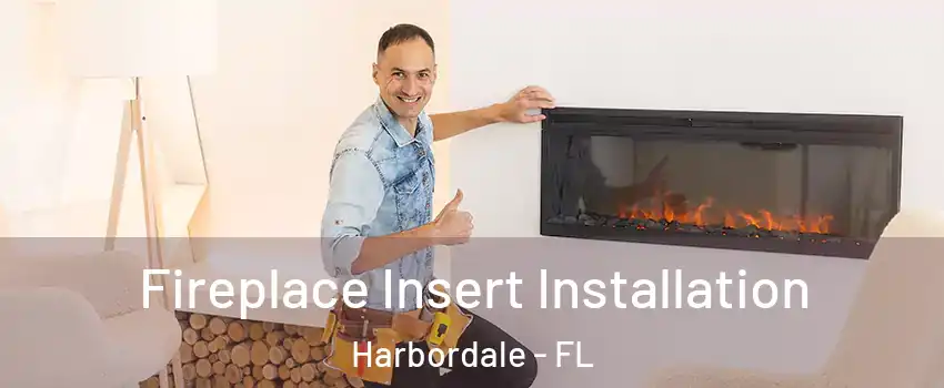 Fireplace Insert Installation Harbordale - FL
