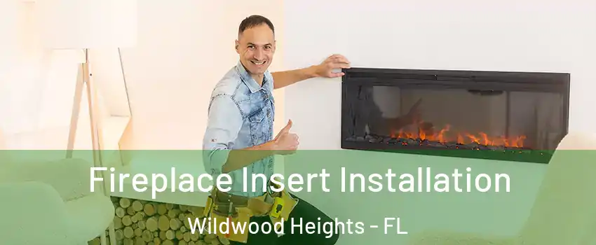 Fireplace Insert Installation Wildwood Heights - FL